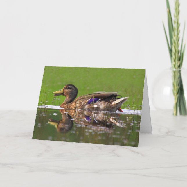 Carte Belle Fête des pères de canard de Mallard (Devant)