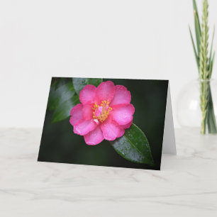 Carte Belle Fleur de Camellia Rose après une pluie