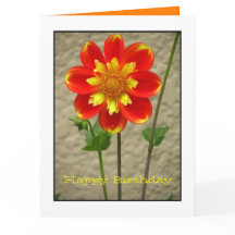 Belle fleur de jaune orange