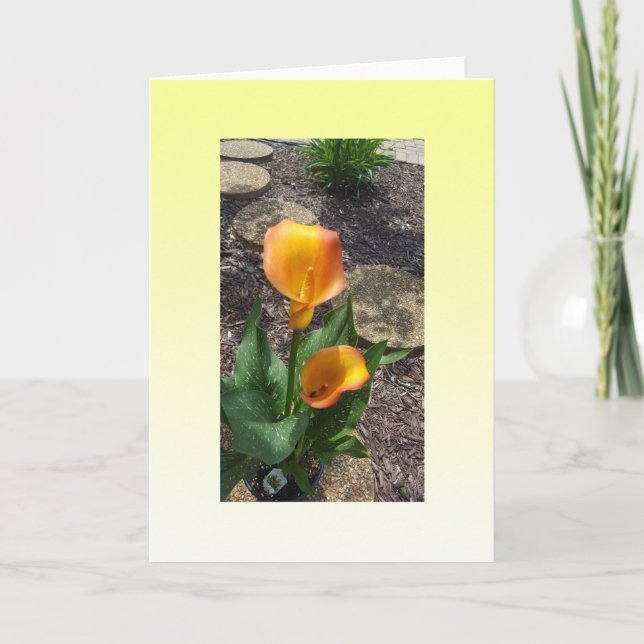 Carte Belle Fleurs Jaunes Blank (Devant)