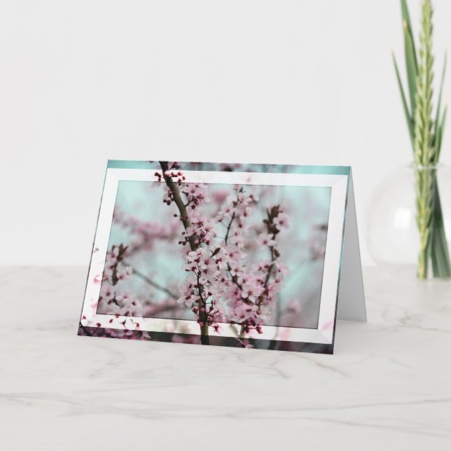 Carte Belle floraison de cerisiers de printemps (Devant)