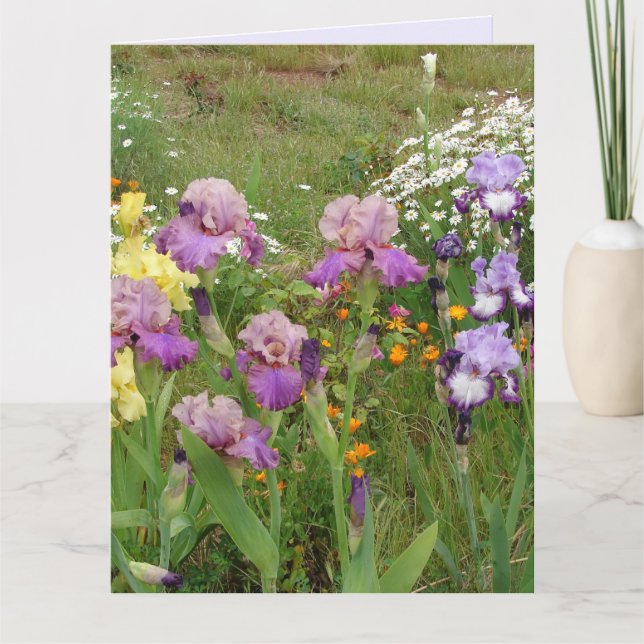 Carte Belle Iris Fleur violet Fleur Photo (Devant)