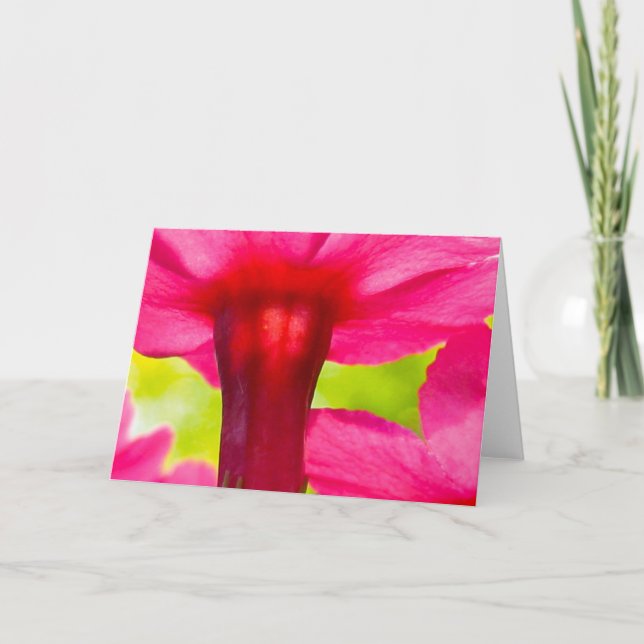 Carte Belle nature, douce, rose (Devant)