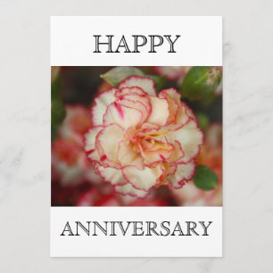 Carte Belle oeillet joyeux anniversaire