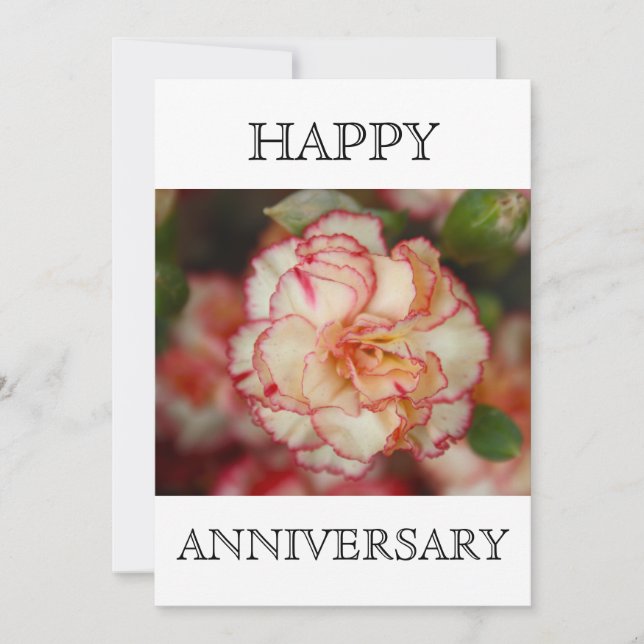 Carte Belle oeillet joyeux anniversaire (Devant)
