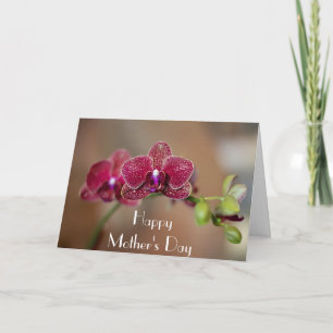 Carte Belle orchidée pour la fête des mères
