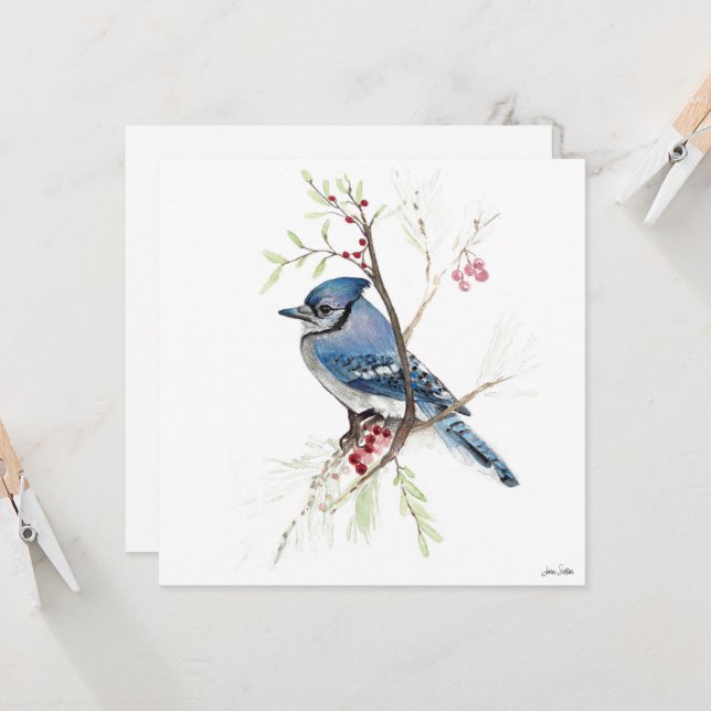 Carte Belle peinture bleu Jay (Devant/Arrière en situation)