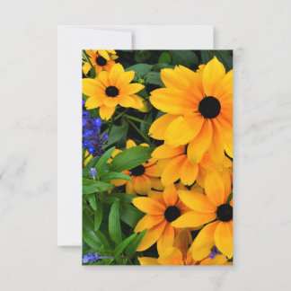 Carte Belle photo de marguerite jaune