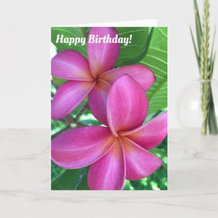 Carte Belle Plumeria maui