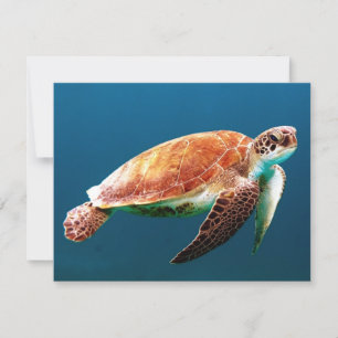 Carte Belle tortue verte