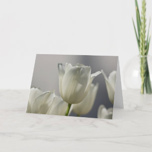 Carte Belle Tulipe de printemps blanche