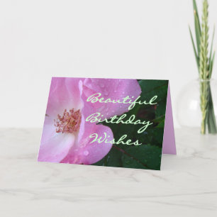 Carte Belle volonté Rose-customiser toute occasion
