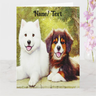 Carte Belles chips bergers Samoyed & English