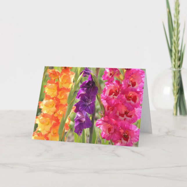 Carte Belles fleurs de glaïeul (Devant)