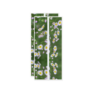 Carte Belles fleurs Deux Signets