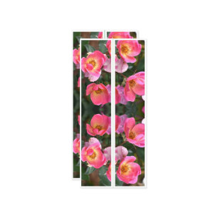 Carte Belles Fleurs Roses Deux Signets