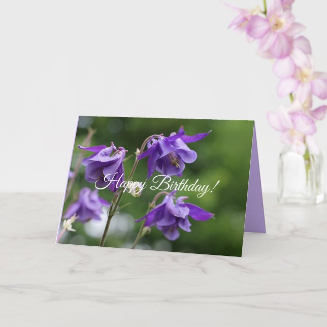 Carte Belles fleurs violettes éclatantes Aquilegia vulga (Orchidée)
