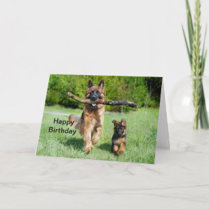 Carte berger allemand Anniversaire