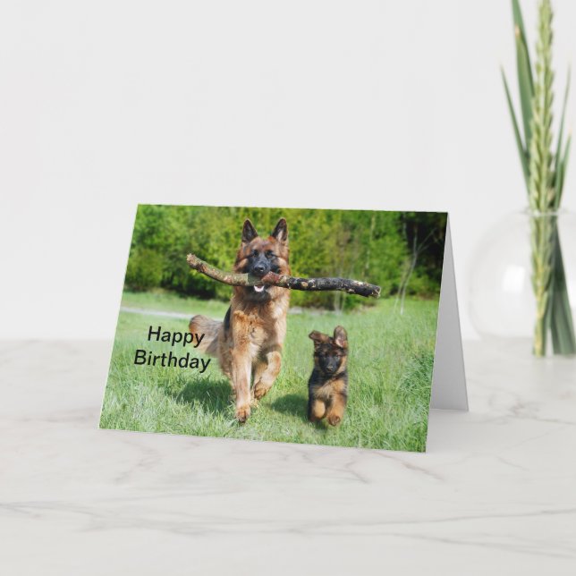 Carte berger allemand Anniversaire (Devant)