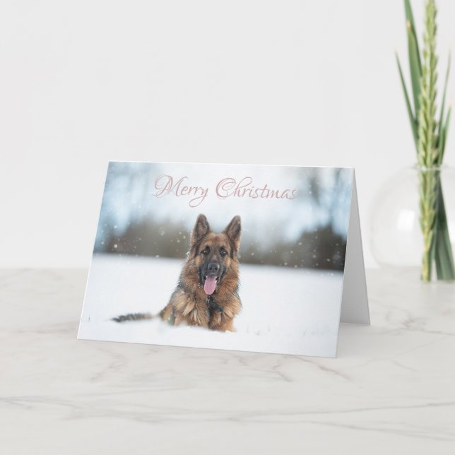 Carte Berger allemand dans la neige à Noël (Devant)