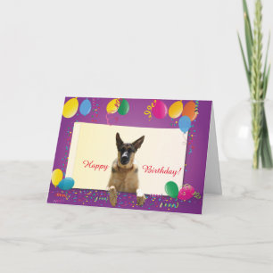 Carte Berger Allemand Joyeux Anniversaire Ballons Coloré