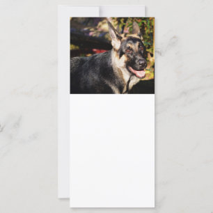 Carte berger allemand par Shirley Taylor