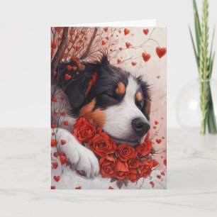 Carte Berger anatolien serein pour la Saint-Valentin