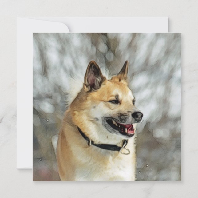 Carte Berger islandais 019 (Devant)