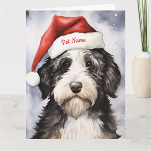 Carte Bernedoodle Noël personnalisé