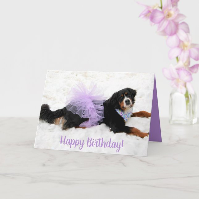 Carte Bernese Mountain Dog Anniversaire (Orchidée)