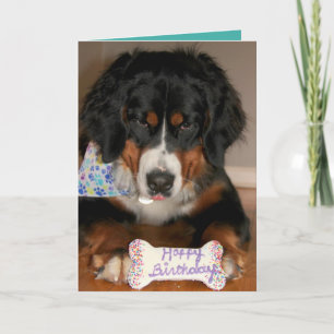 Carte Bernese Mountain Dog Anniversaire