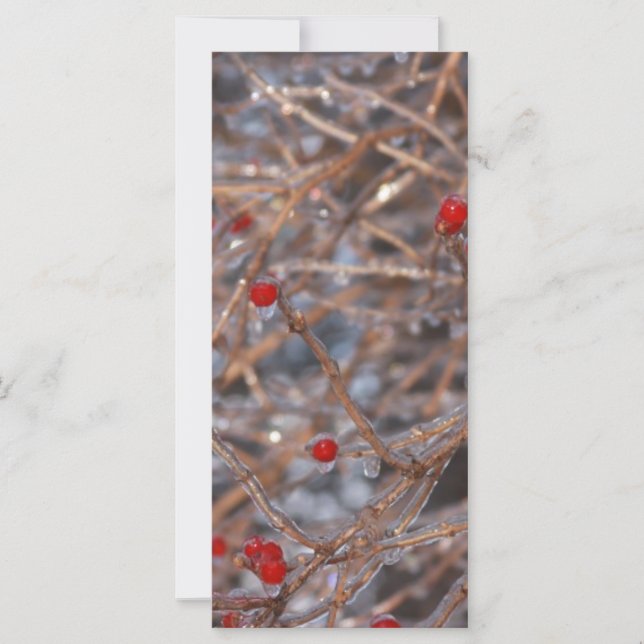 Carte Berry (Devant)