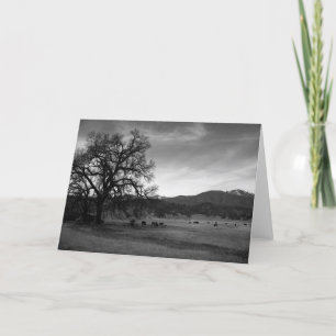 Carte Bétail au nord de Stonyford, le comté de Colusa,