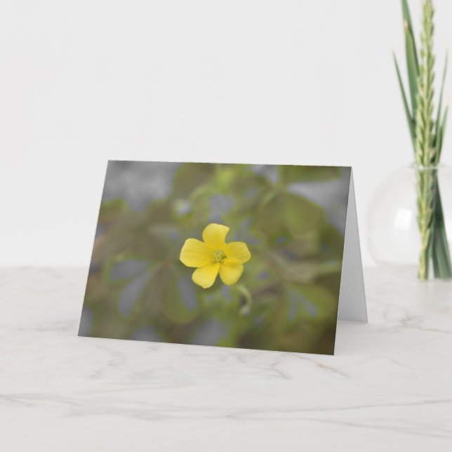Carte Beurre (Devant)
