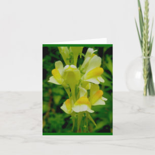 Carte Beurre 'n OE Note