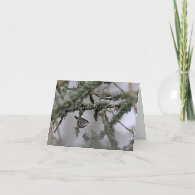 Carte Bewick's Wren and moss Blank Note Card (Devant)