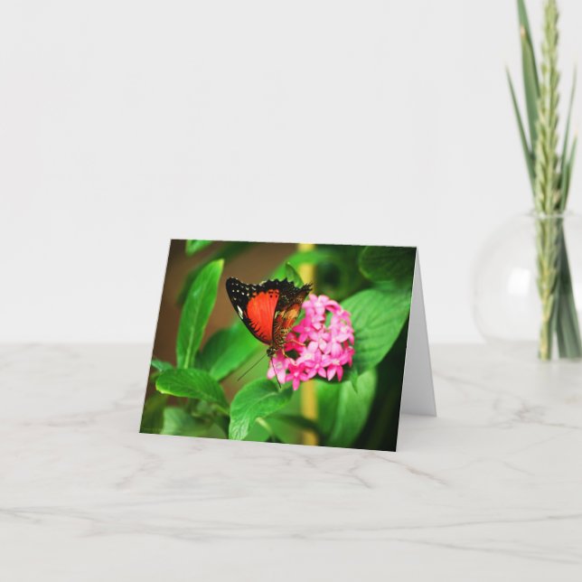 Carte biblis Cethosia (Devant)