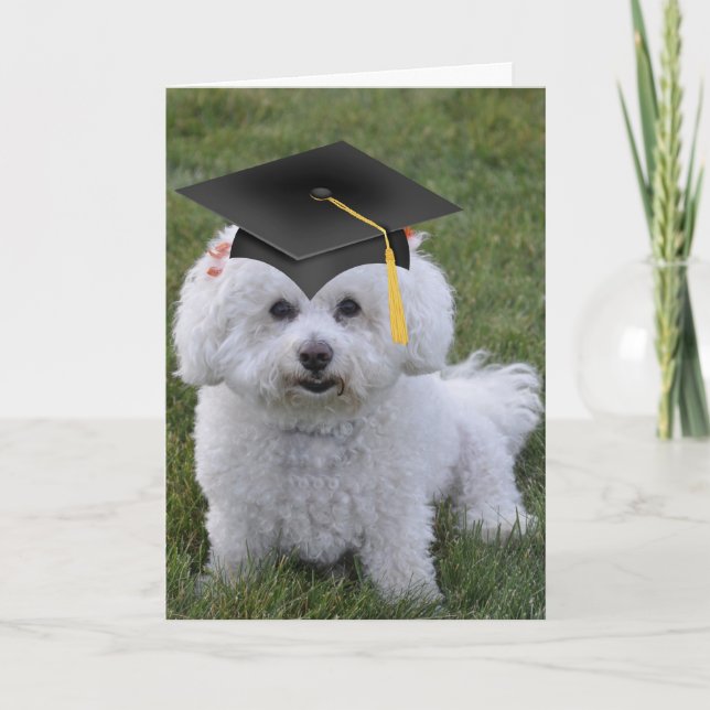 Carte Bichon Black Casquette Graduation (Devant)