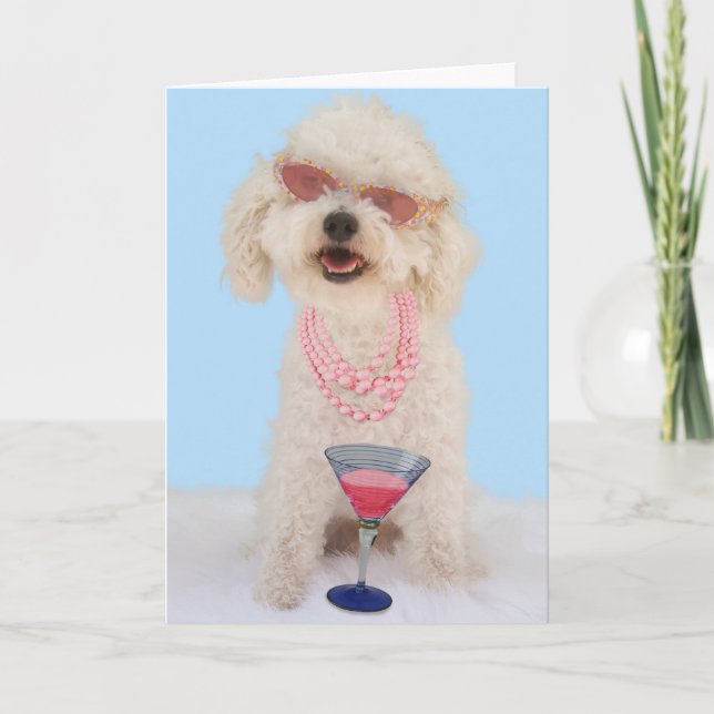 Carte Bichon Frise Birthday Card by Focus for a cause (Devant)