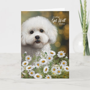 Carte Bichon frisé chien marguerites Bon rétablissement