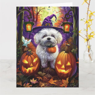 Carte Bichon frisé effrayant sorcière et citrouille d'Ha