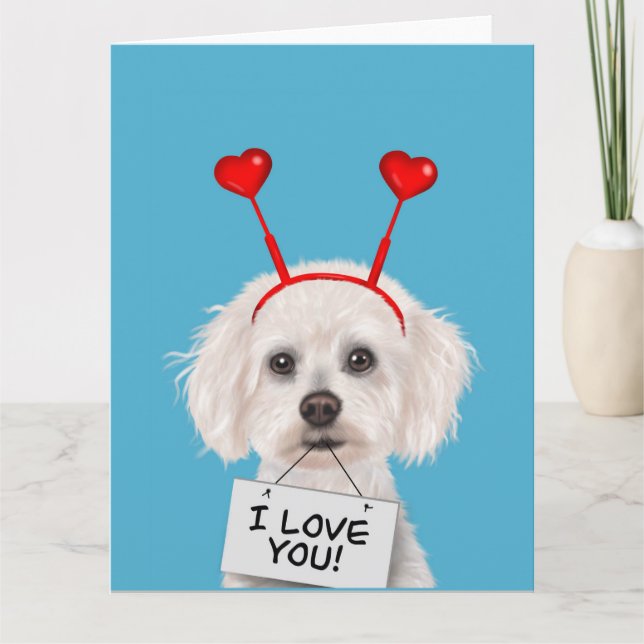 Carte Bichon Frise "Je t'aime" Saint-Valentin (Devant)