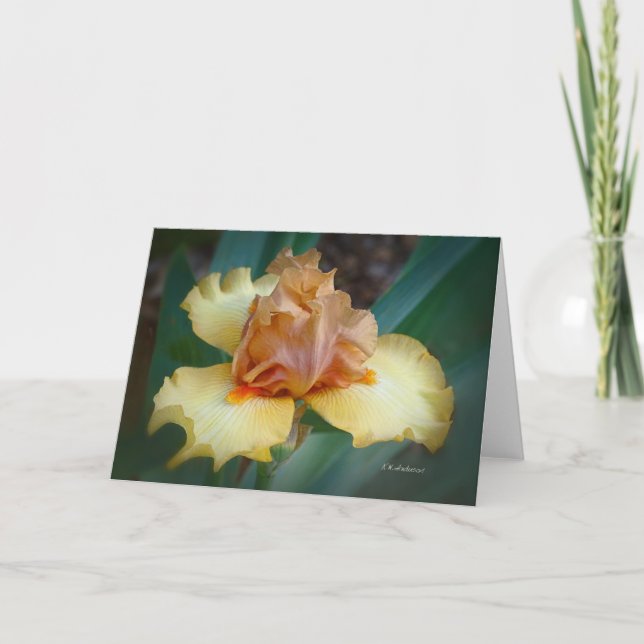 Carte Bicolor Iris (Tan & Jaune) (Devant)