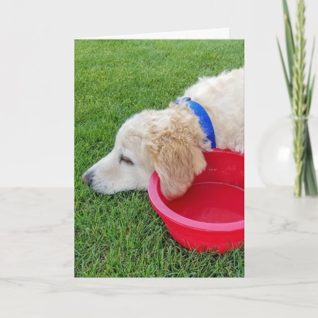 Carte bien bientôt chien avec bol d'eau rouge (Devant)