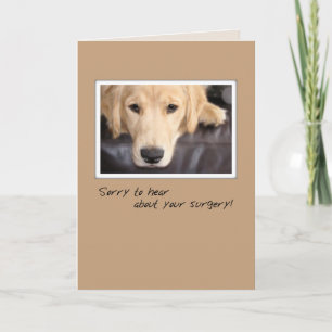 Carte Bien Chirurger Chien, Golden Retriever