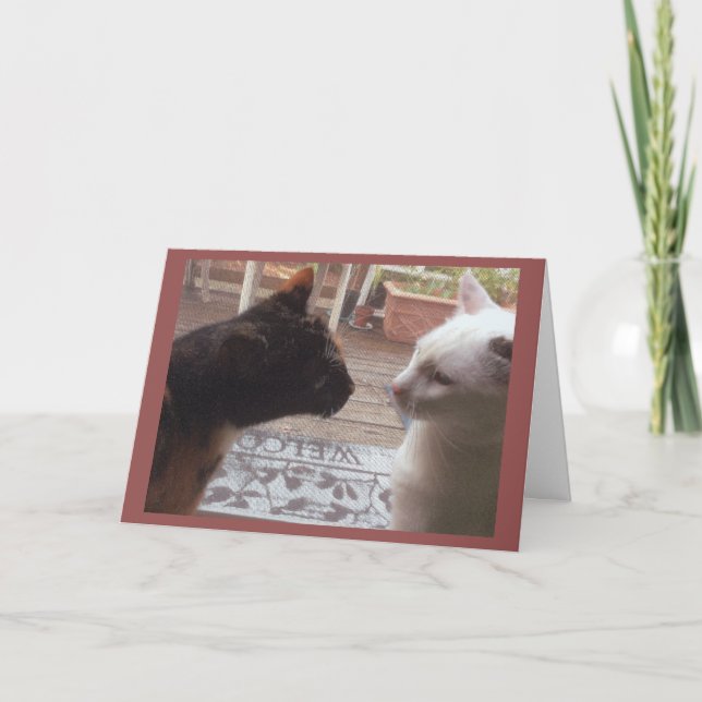 Carte Bienvenue aux chats (Devant)