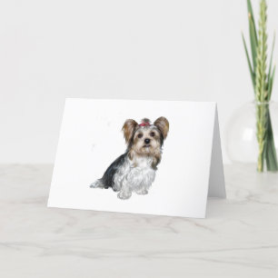 Carte Biewer Yorkshire Terrier
