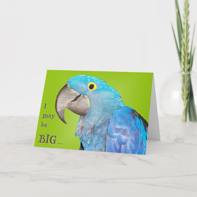 Carte Big and loveable (Devant)