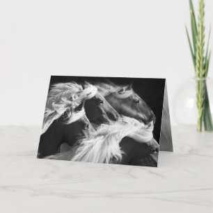 Carte Big Mares Run - Horse Grey Card