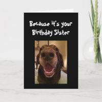 Big Nose Chien drôle Anniversaire Soeur Aimer Chie